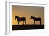 USA, Wyoming. Wild horses silhouetted at sunset.-Jaynes Gallery-Framed Photographic Print