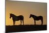 USA, Wyoming. Wild horses silhouetted at sunset.-Jaynes Gallery-Mounted Photographic Print