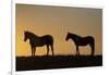 USA, Wyoming. Wild horses silhouetted at sunset.-Jaynes Gallery-Framed Photographic Print