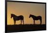 USA, Wyoming. Wild horses silhouetted at sunset.-Jaynes Gallery-Framed Photographic Print