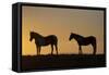 USA, Wyoming. Wild horses silhouetted at sunset.-Jaynes Gallery-Framed Stretched Canvas