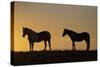USA, Wyoming. Wild horses silhouetted at sunset.-Jaynes Gallery-Stretched Canvas