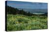 USA, Wyoming. Wildflowers and view of Teton Valley, Idaho, summer, Caribou-Targhee National Forest-Howie Garber-Stretched Canvas