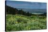 USA, Wyoming. Wildflowers and view of Teton Valley, Idaho, summer, Caribou-Targhee National Forest-Howie Garber-Stretched Canvas