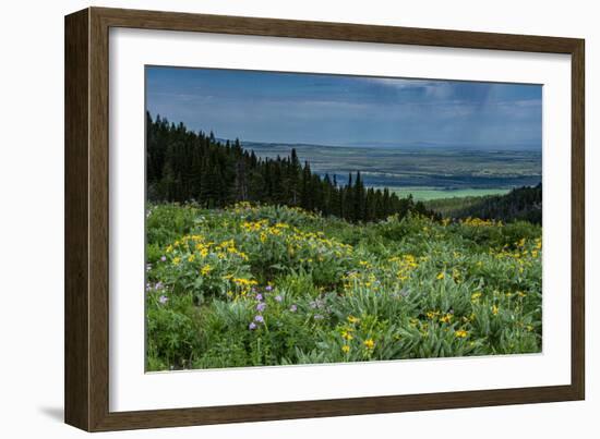 USA, Wyoming. Wildflowers and view of Teton Valley, Idaho, summer, Caribou-Targhee National Forest-Howie Garber-Framed Photographic Print