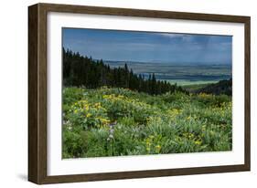 USA, Wyoming. Wildflowers and view of Teton Valley, Idaho, summer, Caribou-Targhee National Forest-Howie Garber-Framed Photographic Print