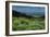 USA, Wyoming. Wildflowers and view of Teton Valley, Idaho, summer, Caribou-Targhee National Forest-Howie Garber-Framed Photographic Print