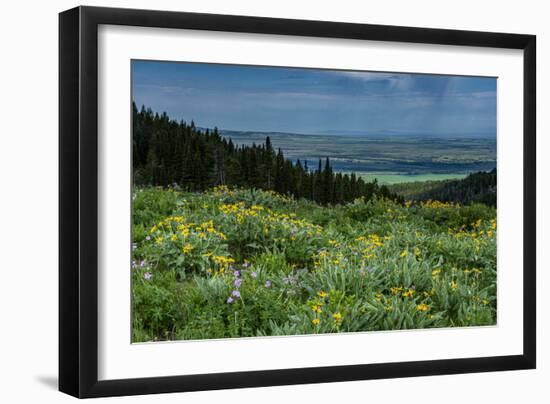 USA, Wyoming. Wildflowers and view of Teton Valley, Idaho, summer, Caribou-Targhee National Forest-Howie Garber-Framed Photographic Print