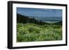 USA, Wyoming. Wildflowers and view of Teton Valley, Idaho, summer, Caribou-Targhee National Forest-Howie Garber-Framed Photographic Print