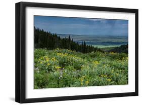 USA, Wyoming. Wildflowers and view of Teton Valley, Idaho, summer, Caribou-Targhee National Forest-Howie Garber-Framed Photographic Print