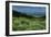 USA, Wyoming. Wildflowers and view of Teton Valley, Idaho, summer, Caribou-Targhee National Forest-Howie Garber-Framed Photographic Print