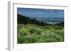 USA, Wyoming. Wildflowers and view of Teton Valley, Idaho, summer, Caribou-Targhee National Forest-Howie Garber-Framed Photographic Print