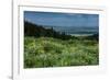 USA, Wyoming. Wildflowers and view of Teton Valley, Idaho, summer, Caribou-Targhee National Forest-Howie Garber-Framed Photographic Print