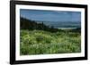 USA, Wyoming. Wildflowers and view of Teton Valley, Idaho, summer, Caribou-Targhee National Forest-Howie Garber-Framed Photographic Print