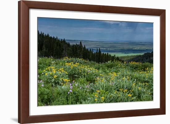 USA, Wyoming. Wildflowers and view of Teton Valley, Idaho, summer, Caribou-Targhee National Forest-Howie Garber-Framed Photographic Print