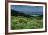 USA, Wyoming. Wildflowers and view of Teton Valley, Idaho, summer, Caribou-Targhee National Forest-Howie Garber-Framed Photographic Print