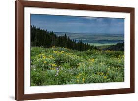 USA, Wyoming. Wildflowers and view of Teton Valley, Idaho, summer, Caribou-Targhee National Forest-Howie Garber-Framed Photographic Print