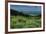 USA, Wyoming. Wildflowers and view of Teton Valley, Idaho, summer, Caribou-Targhee National Forest-Howie Garber-Framed Photographic Print