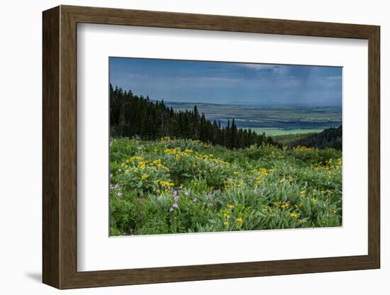 USA, Wyoming. Wildflowers and view of Teton Valley, Idaho, summer, Caribou-Targhee National Forest-Howie Garber-Framed Photographic Print