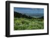 USA, Wyoming. Wildflowers and view of Teton Valley, Idaho, summer, Caribou-Targhee National Forest-Howie Garber-Framed Photographic Print