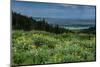 USA, Wyoming. Wildflowers and view of Teton Valley, Idaho, summer, Caribou-Targhee National Forest-Howie Garber-Mounted Photographic Print