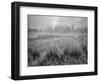 USA, Wyoming, Yellowstone, Cold Foggy Morning-John Ford-Framed Photographic Print