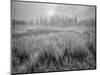 USA, Wyoming, Yellowstone, Cold Foggy Morning-John Ford-Mounted Photographic Print