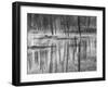 USA, Wyoming, Yellowstone, Cold Morning-John Ford-Framed Photographic Print