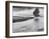USA, Wyoming, Yellowstone, Firehole River and Tree-John Ford-Framed Photographic Print