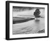 USA, Wyoming, Yellowstone, Firehole River and Tree-John Ford-Framed Photographic Print