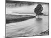 USA, Wyoming, Yellowstone, Firehole River and Tree-John Ford-Mounted Photographic Print