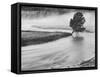 USA, Wyoming, Yellowstone, Firehole River and Tree-John Ford-Framed Stretched Canvas