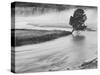 USA, Wyoming, Yellowstone, Firehole River and Tree-John Ford-Stretched Canvas