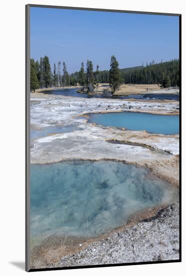 USA, Wyoming, Yellowstone National Park, Biscuit Basin, Black Diamond Pool.-Cindy Miller Hopkins-Mounted Photographic Print