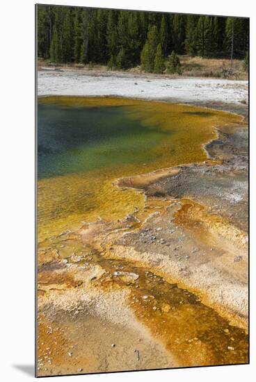 USA, Wyoming, Yellowstone National Park, Black Sand Basin, Emerald Pool.-Cindy Miller Hopkins-Mounted Photographic Print