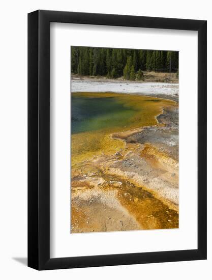 USA, Wyoming, Yellowstone National Park, Black Sand Basin, Emerald Pool.-Cindy Miller Hopkins-Framed Photographic Print