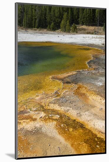 USA, Wyoming, Yellowstone National Park, Black Sand Basin, Emerald Pool.-Cindy Miller Hopkins-Mounted Photographic Print