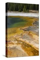 USA, Wyoming, Yellowstone National Park, Black Sand Basin, Emerald Pool.-Cindy Miller Hopkins-Stretched Canvas