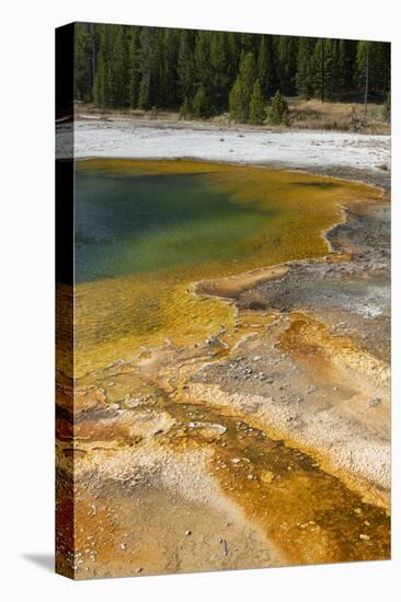 USA, Wyoming, Yellowstone National Park, Black Sand Basin, Emerald Pool.-Cindy Miller Hopkins-Stretched Canvas