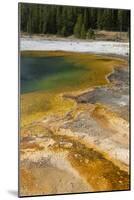 USA, Wyoming, Yellowstone National Park, Black Sand Basin, Emerald Pool.-Cindy Miller Hopkins-Mounted Photographic Print