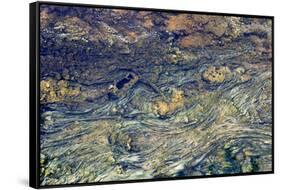 USA, Wyoming, Yellowstone National Park, Black Sand Basin. Microbial mats grow-Ellen Goff-Framed Stretched Canvas