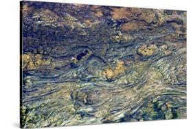 USA, Wyoming, Yellowstone National Park, Black Sand Basin. Microbial mats grow-Ellen Goff-Stretched Canvas