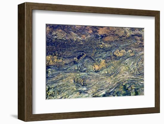 USA, Wyoming, Yellowstone National Park, Black Sand Basin. Microbial mats grow-Ellen Goff-Framed Photographic Print