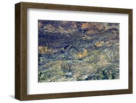 USA, Wyoming, Yellowstone National Park, Black Sand Basin. Microbial mats grow-Ellen Goff-Framed Photographic Print