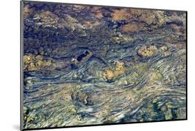 USA, Wyoming, Yellowstone National Park, Black Sand Basin. Microbial mats grow-Ellen Goff-Mounted Photographic Print