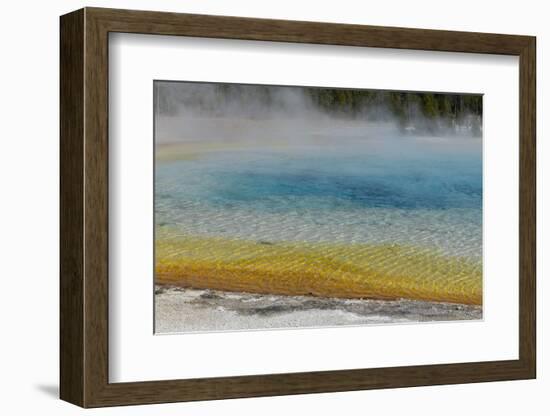 USA, Wyoming, Yellowstone National Park. Black Sand Basin, Rainbow Pool.-Cindy Miller Hopkins-Framed Photographic Print