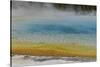 USA, Wyoming, Yellowstone National Park. Black Sand Basin, Rainbow Pool.-Cindy Miller Hopkins-Stretched Canvas