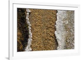 USA, Wyoming, Yellowstone National Park, Black Sand Basin. Volcanic hot water stream.-Cindy Miller Hopkins-Framed Photographic Print