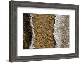 USA, Wyoming, Yellowstone National Park, Black Sand Basin. Volcanic hot water stream.-Cindy Miller Hopkins-Framed Photographic Print