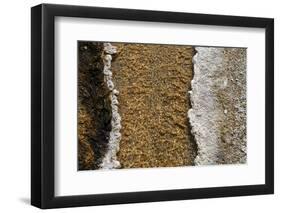 USA, Wyoming, Yellowstone National Park, Black Sand Basin. Volcanic hot water stream.-Cindy Miller Hopkins-Framed Photographic Print